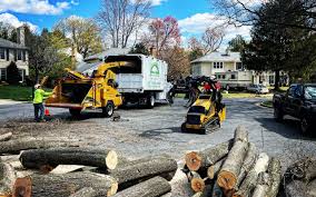 Best Tree Trimming and Pruning  in Coalville, UT